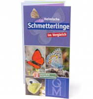 Bestimmungskarte - Heimische Schmetterlinge