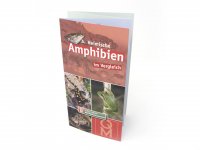 Bestimmungskarte - Heimische Amphibien