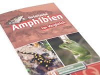 Bestimmungskarte - Heimische Amphibien