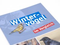 Bestimmungskarte - Wintervögel
