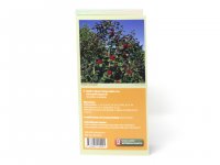 Bestimmungskarte - Die Früchte heimischer und kultivierter Laubgehölzer