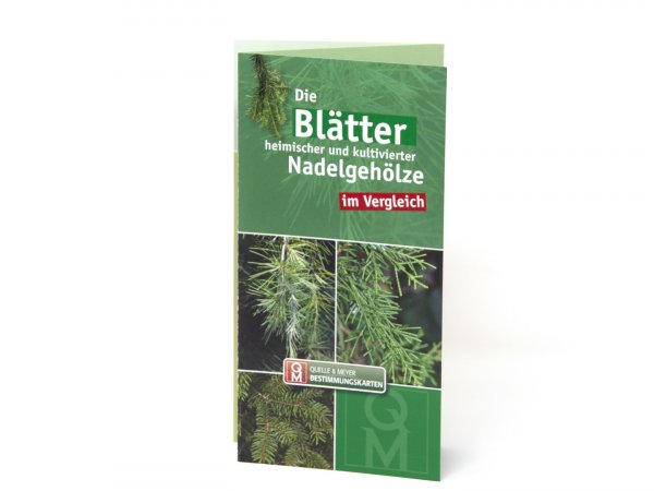 Bestimmungskarte - Die Blätter heimischer und kultivierter Nadelhölze