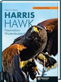 Harris Hawk Faszination Wüstenbussard